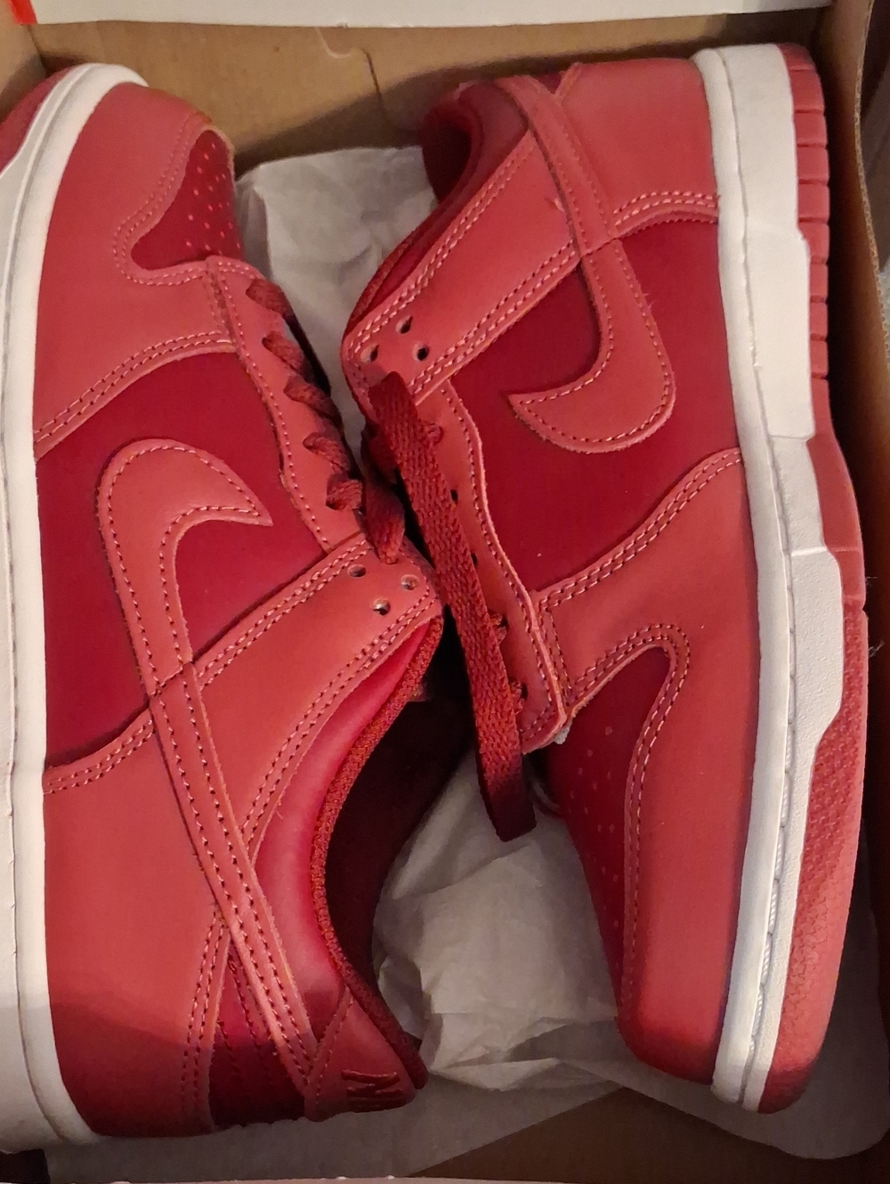 Brand New Nike Dunk Low